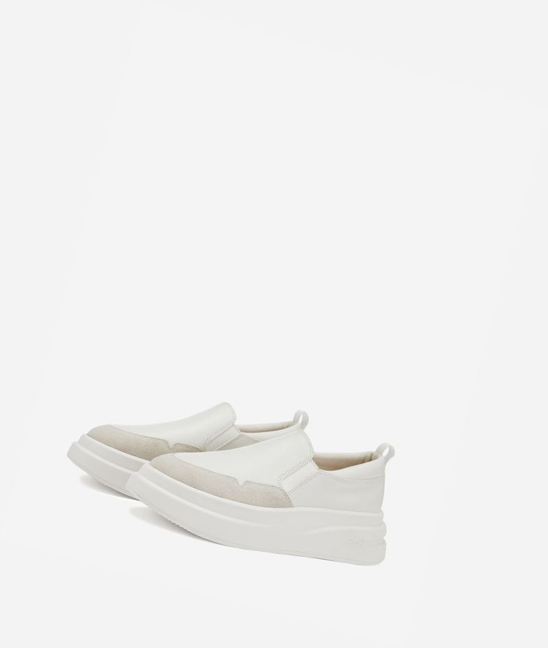 White / Off White Women's ASH Intox Low-Top Sneakers | 014WJXQAK