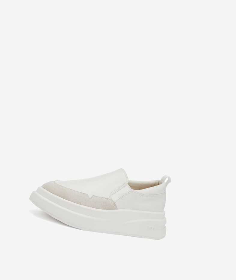 White / Off White Women's ASH Intox Low-Top Sneakers | 014WJXQAK