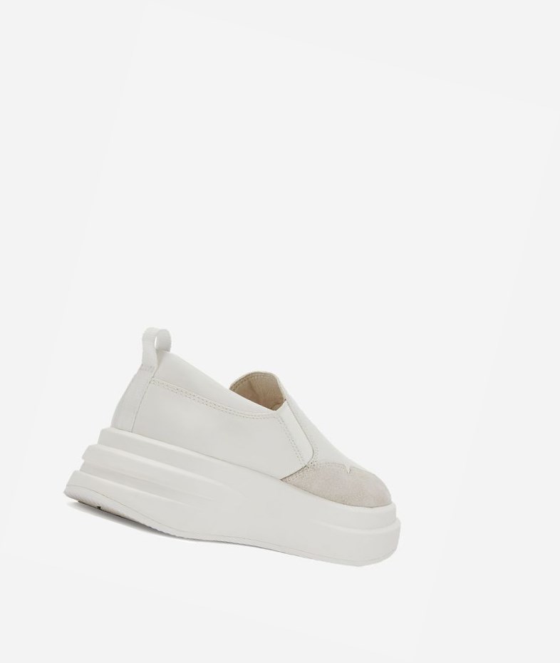 White / Off White Women's ASH Intox Low-Top Sneakers | 014WJXQAK