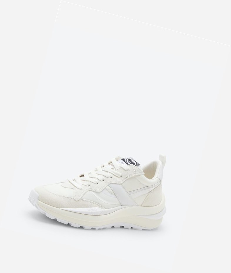 White / Off White Women's ASH Spider 620-01 Low-Top Sneakers | 174TMLEHP