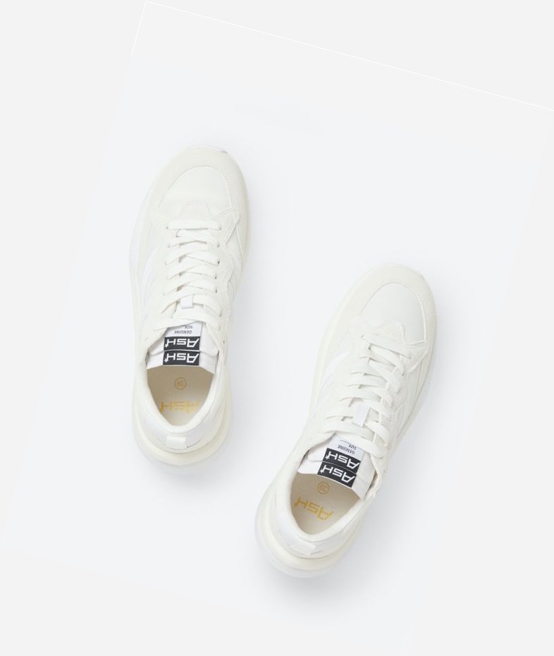 White / Off White Women's ASH Spider 620-01 Low-Top Sneakers | 174TMLEHP