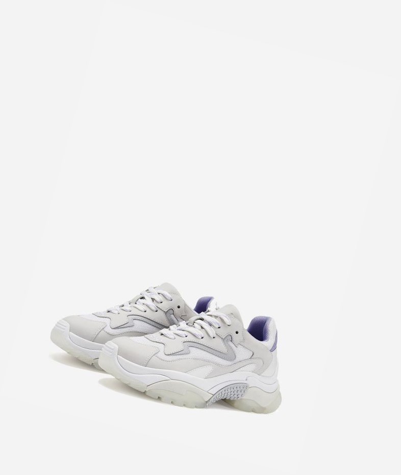 White / Pearl / Young / White Women's ASH Addict Chunky Sneakers | 041NVSUDT