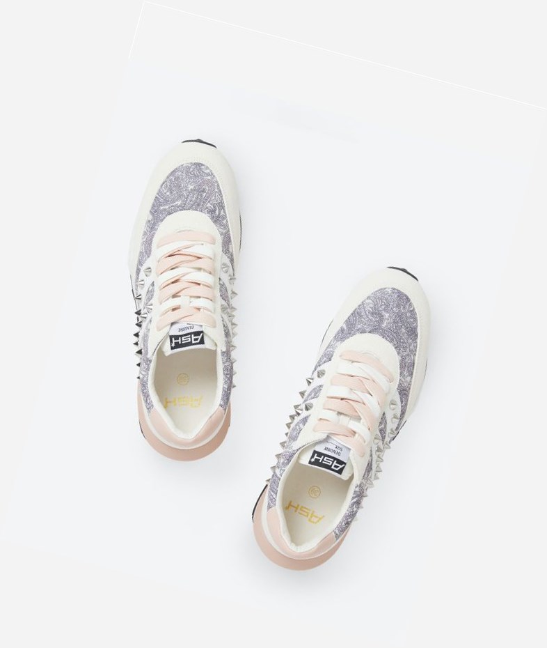 White / Pinksalt / Off White Women's ASH Spider Studs Low-Top Sneakers | 625BEDZHY