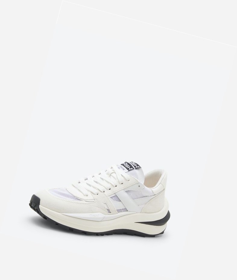 White / Pristine Women's ASH Spider 620-02 Low-Top Sneakers | 390GVNXTI