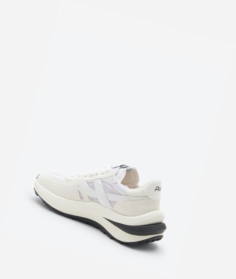 White / Pristine Women's ASH Spider 620-02 Low-Top Sneakers | 390GVNXTI