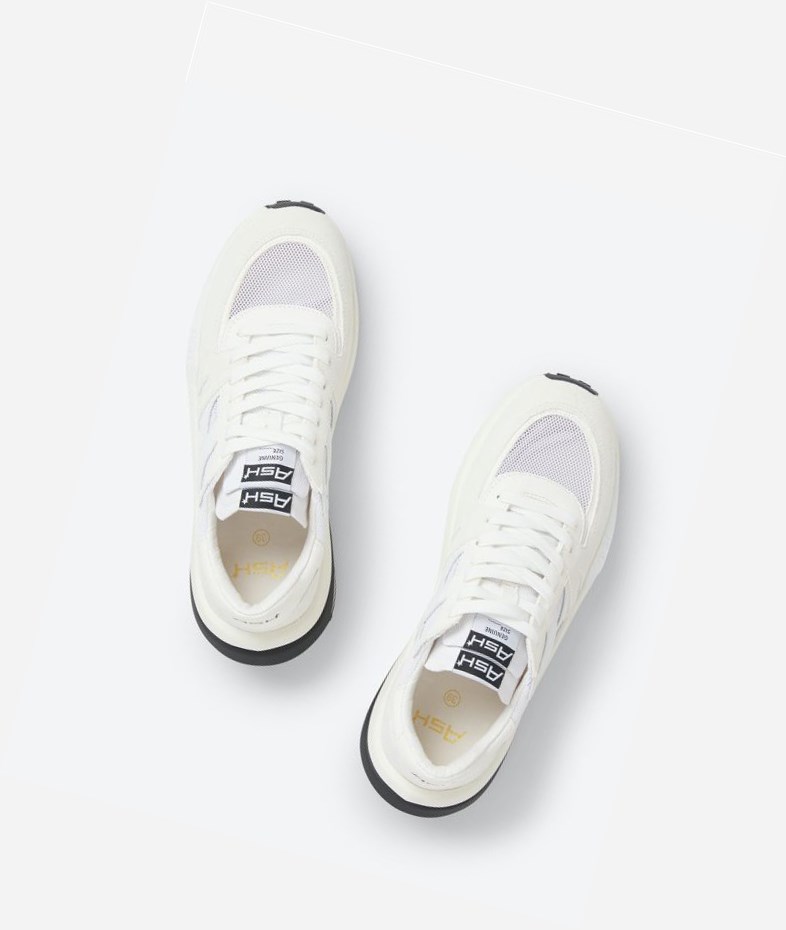 White / Pristine Women's ASH Spider 620-02 Low-Top Sneakers | 390GVNXTI