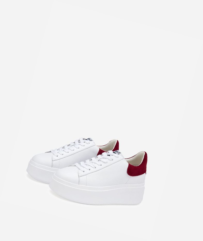 White / Red Dhalia Women's ASH Moby Low-Top Sneakers | 617KTWUOM