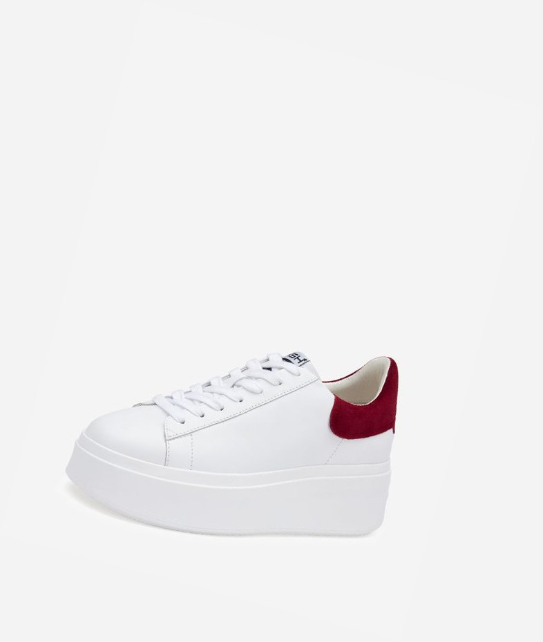 White / Red Dhalia Women's ASH Moby Low-Top Sneakers | 617KTWUOM