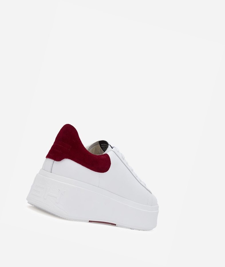 White / Red Dhalia Women's ASH Moby Low-Top Sneakers | 617KTWUOM