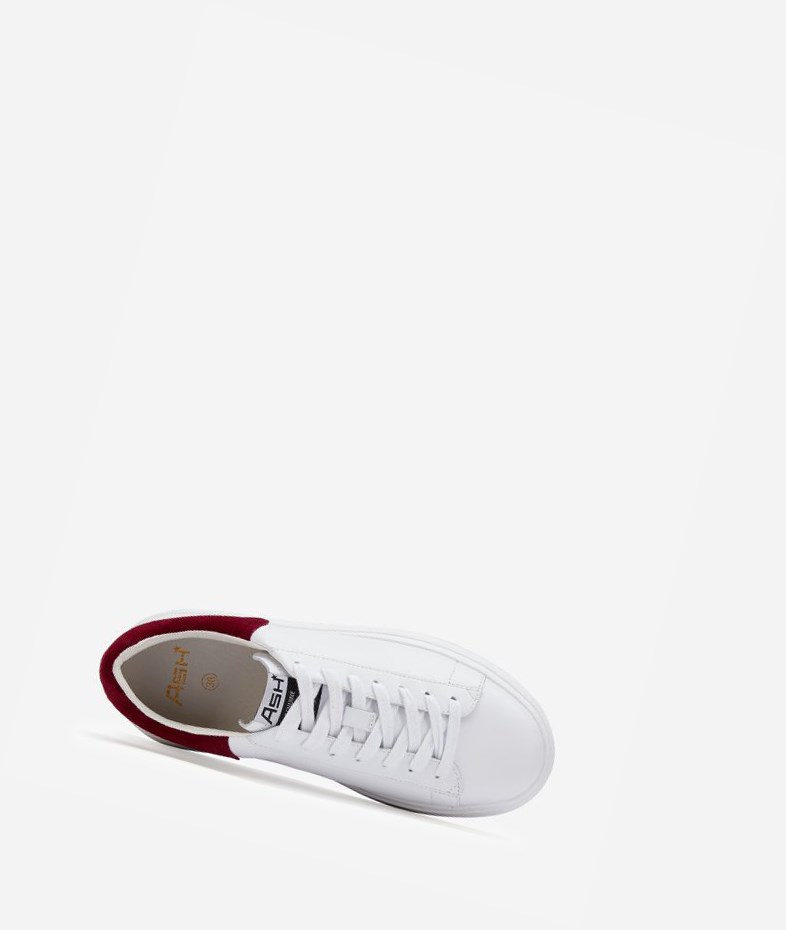 White / Red Dhalia Women's ASH Moby Low-Top Sneakers | 617KTWUOM