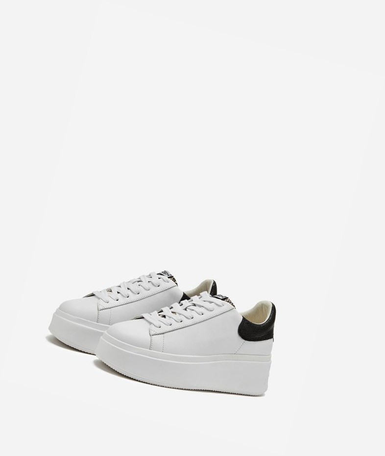 White / Roccia / Black Women's ASH Moby Low-Top Sneakers | 315EQJKMN