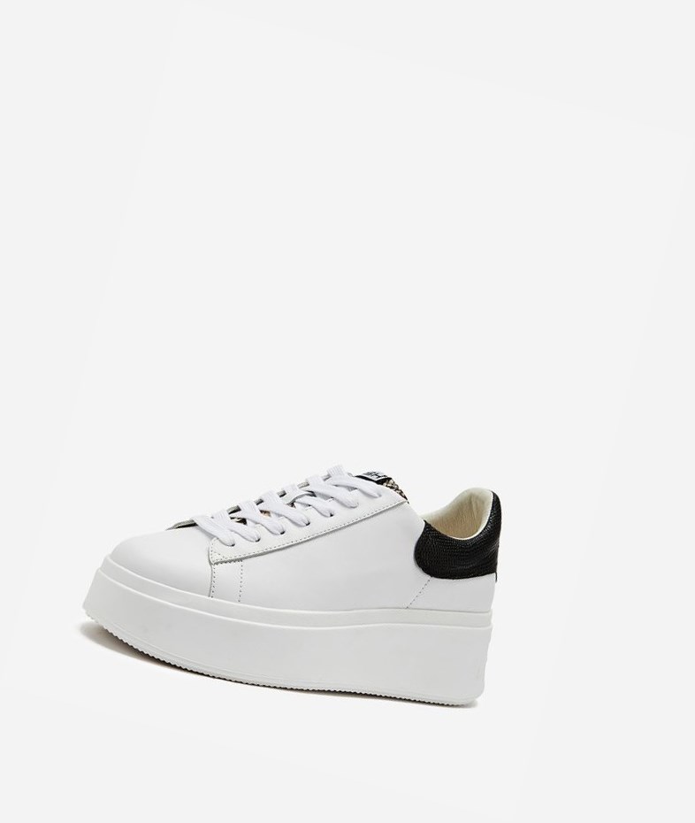 White / Roccia / Black Women's ASH Moby Low-Top Sneakers | 315EQJKMN