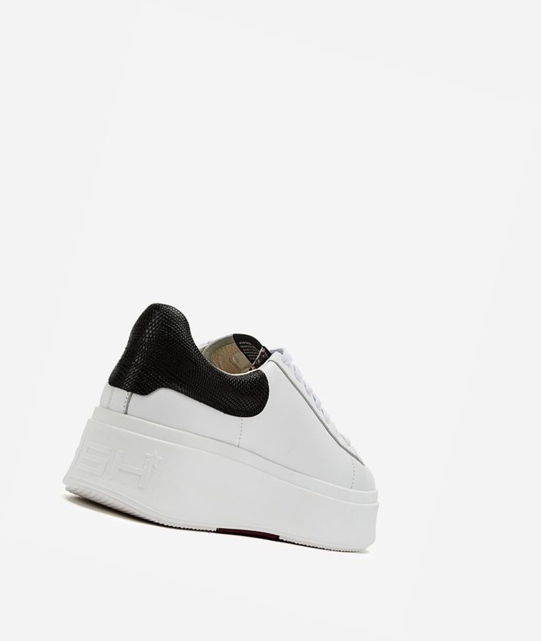 White / Roccia / Black Women's ASH Moby Low-Top Sneakers | 315EQJKMN