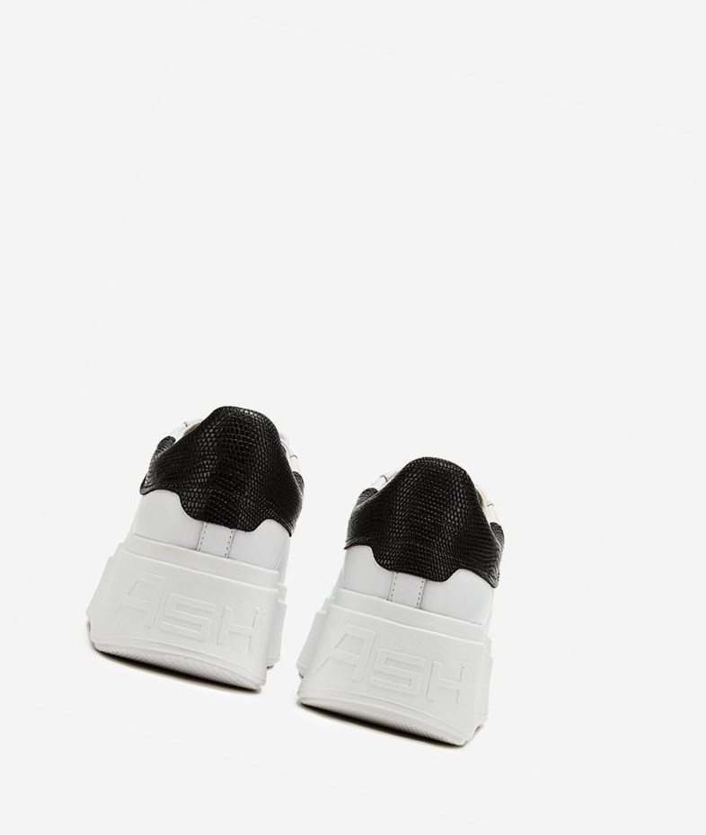 White / Roccia / Black Women's ASH Moby Low-Top Sneakers | 315EQJKMN