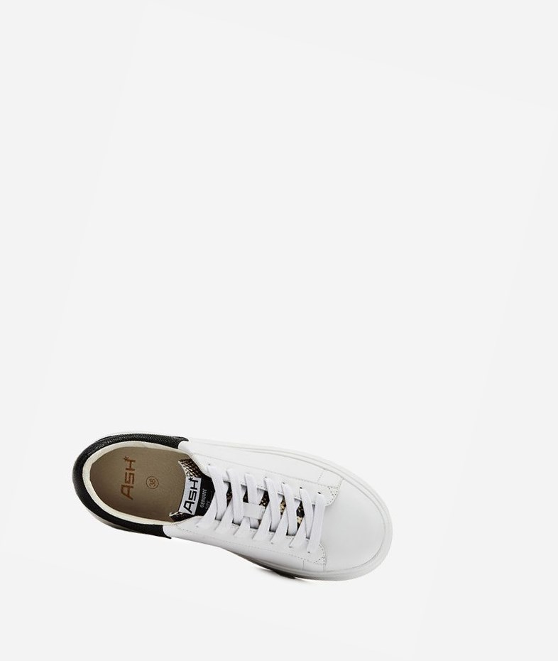 White / Roccia / Black Women's ASH Moby Low-Top Sneakers | 315EQJKMN