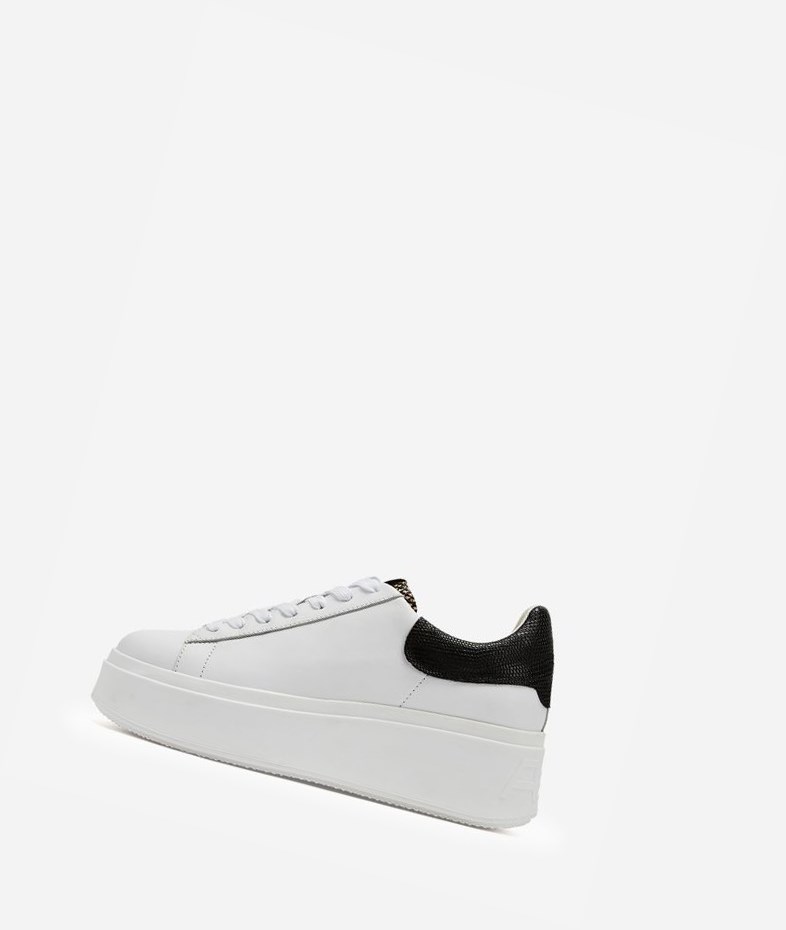 White / Roccia / Black Women\'s ASH Moby Low-Top Sneakers | 315EQJKMN