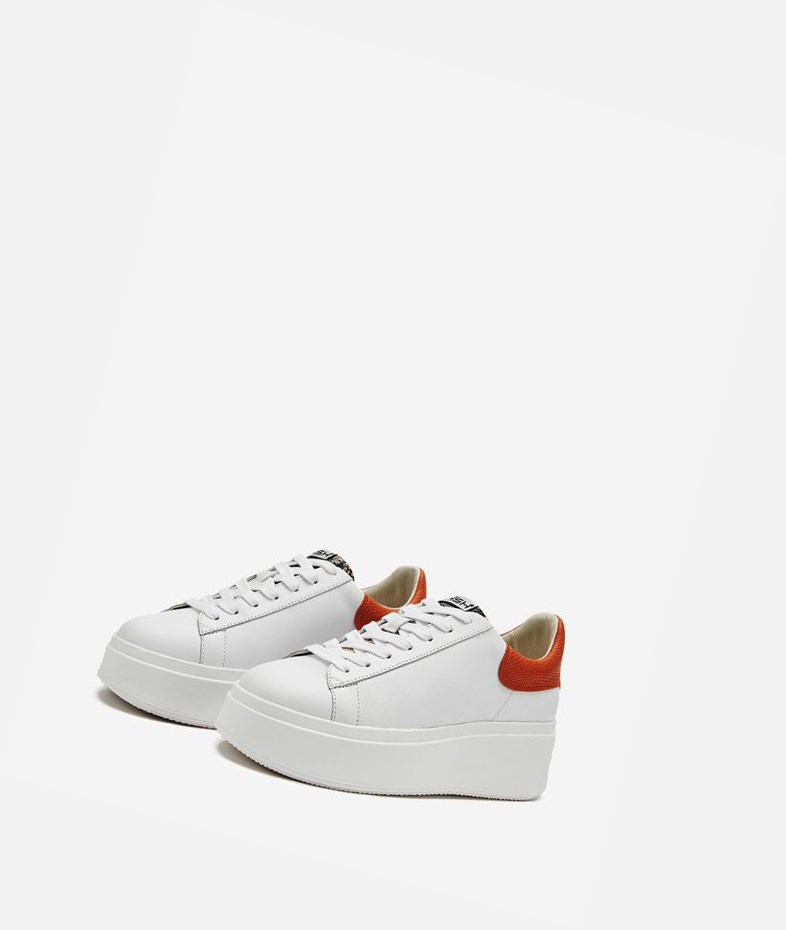 White / Roccia / Fungi Women's ASH Moby Low-Top Sneakers | 185QNKMVA