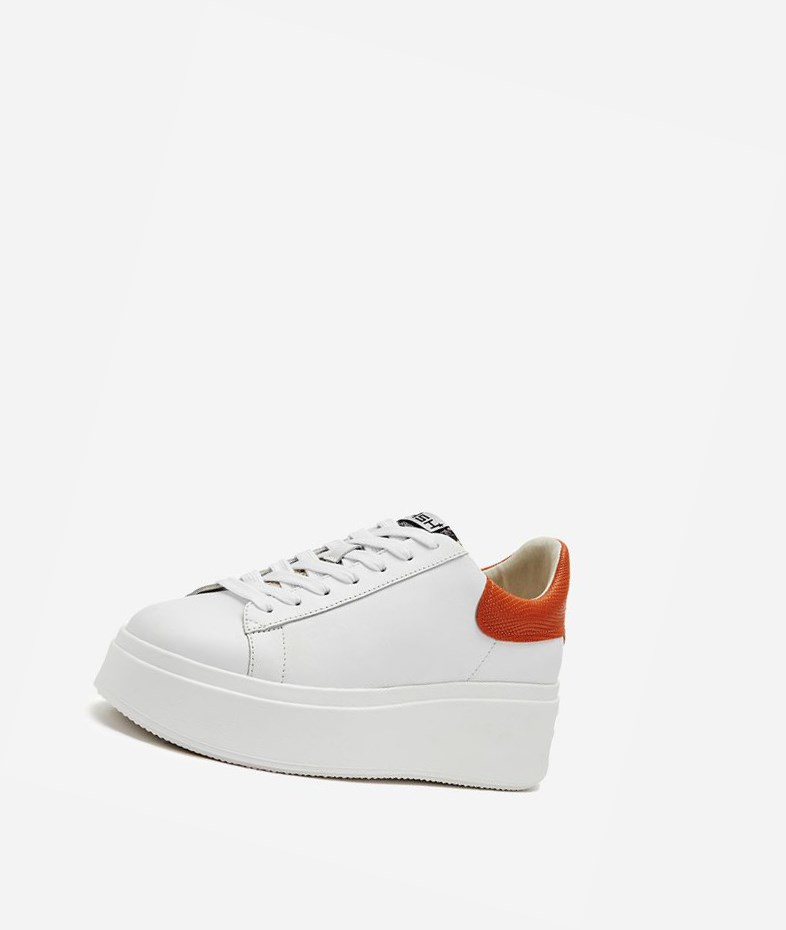 White / Roccia / Fungi Women's ASH Moby Low-Top Sneakers | 185QNKMVA