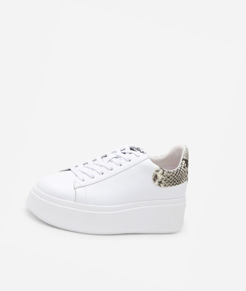 White / Roccia Women's ASH Moby Low-Top Sneakers | 014VBZKOT