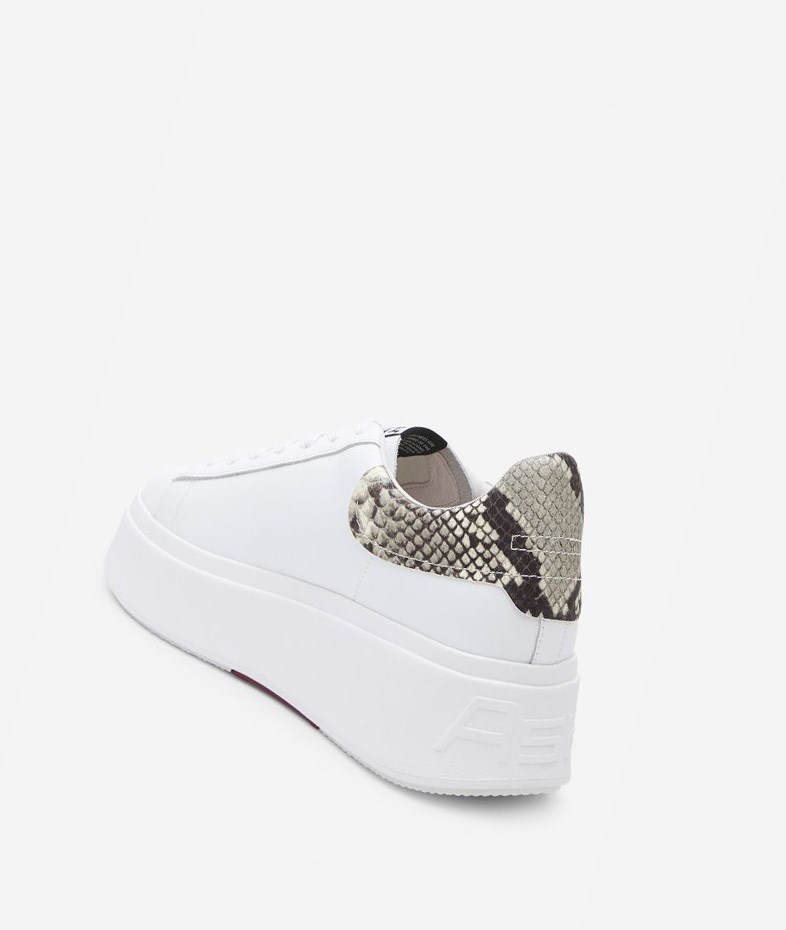 White / Roccia Women's ASH Moby Low-Top Sneakers | 014VBZKOT