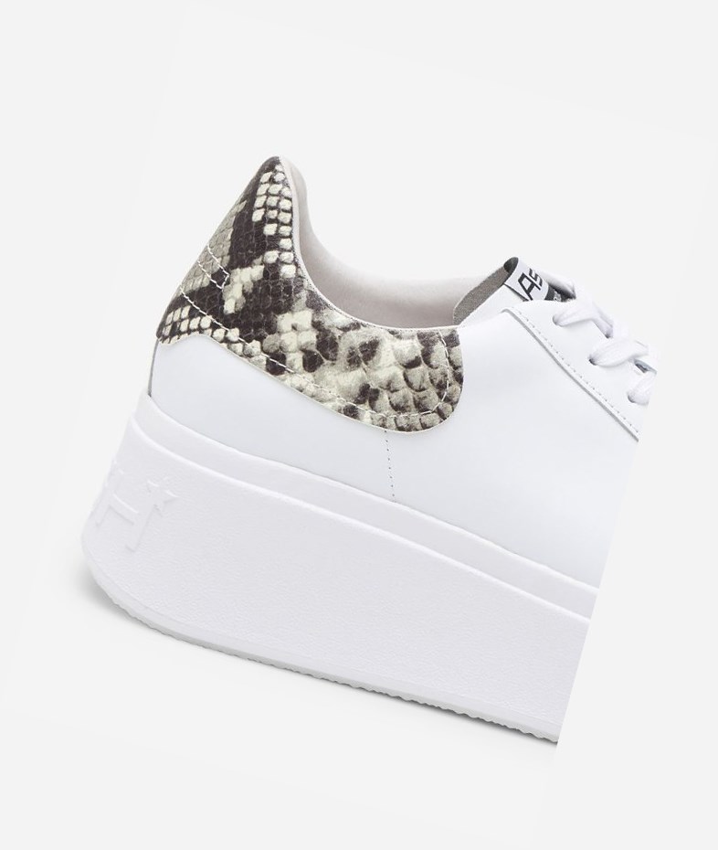 White / Roccia Women's ASH Moby Low-Top Sneakers | 014VBZKOT