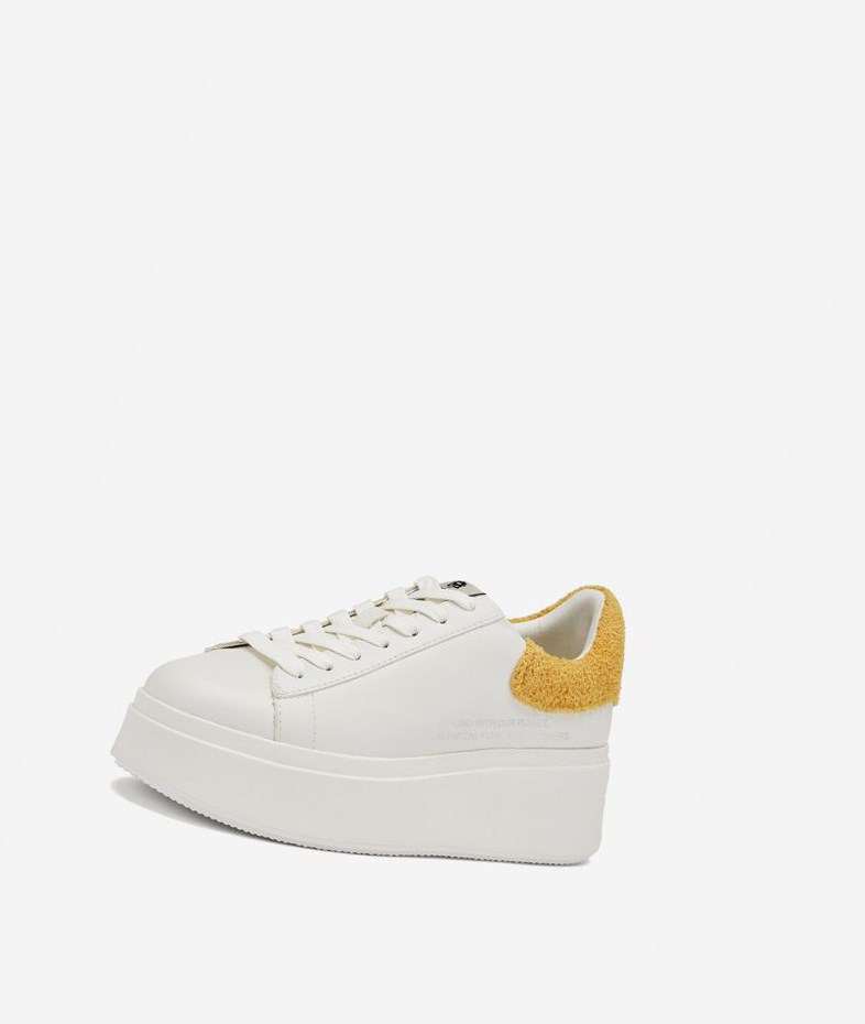 White / Spark Women's ASH Moby Be Kind Low-Top Sneakers | 786KUCOPH