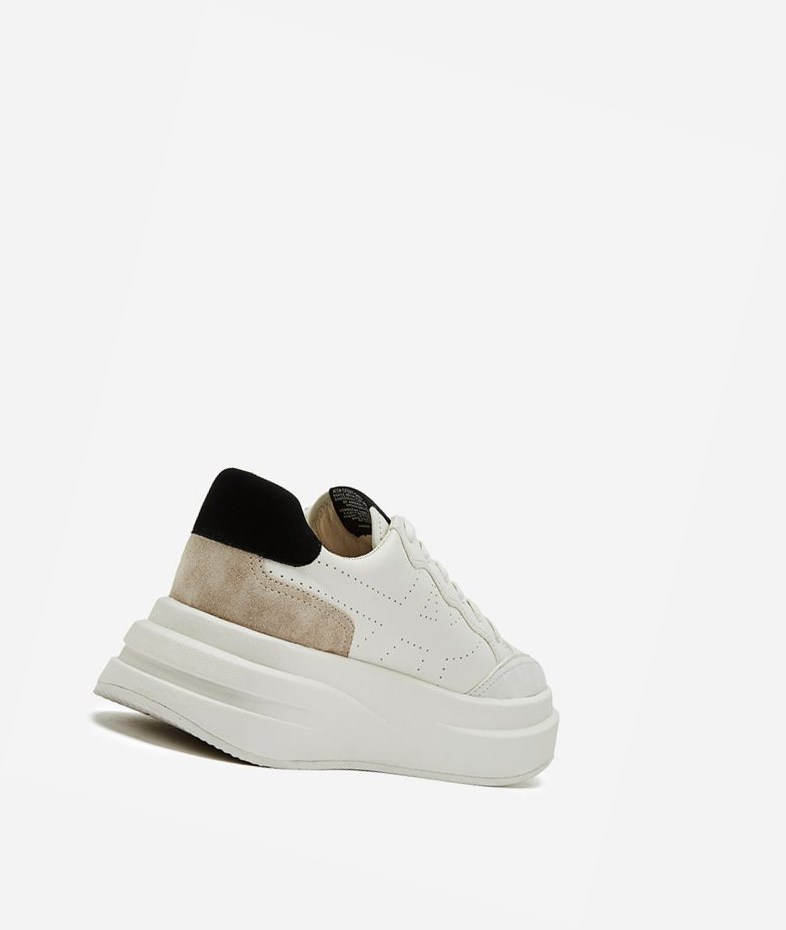 White / Talc / White / Black Women's ASH Impuls Low-Top Sneakers | 740HOQDTV