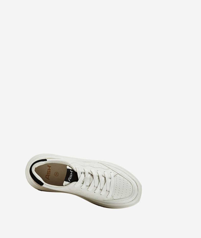 White / Talc / White / Black Women's ASH Impuls Low-Top Sneakers | 740HOQDTV