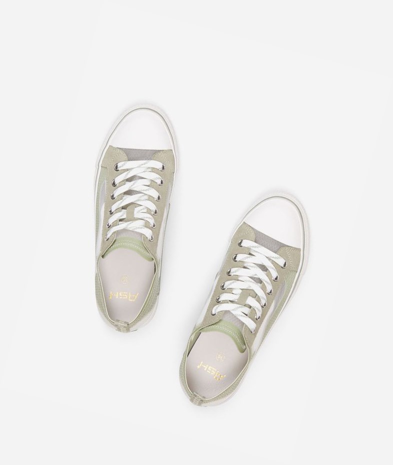 White / Tea / White Women's ASH Vertu Low-Top Sneakers | 847SELDJA