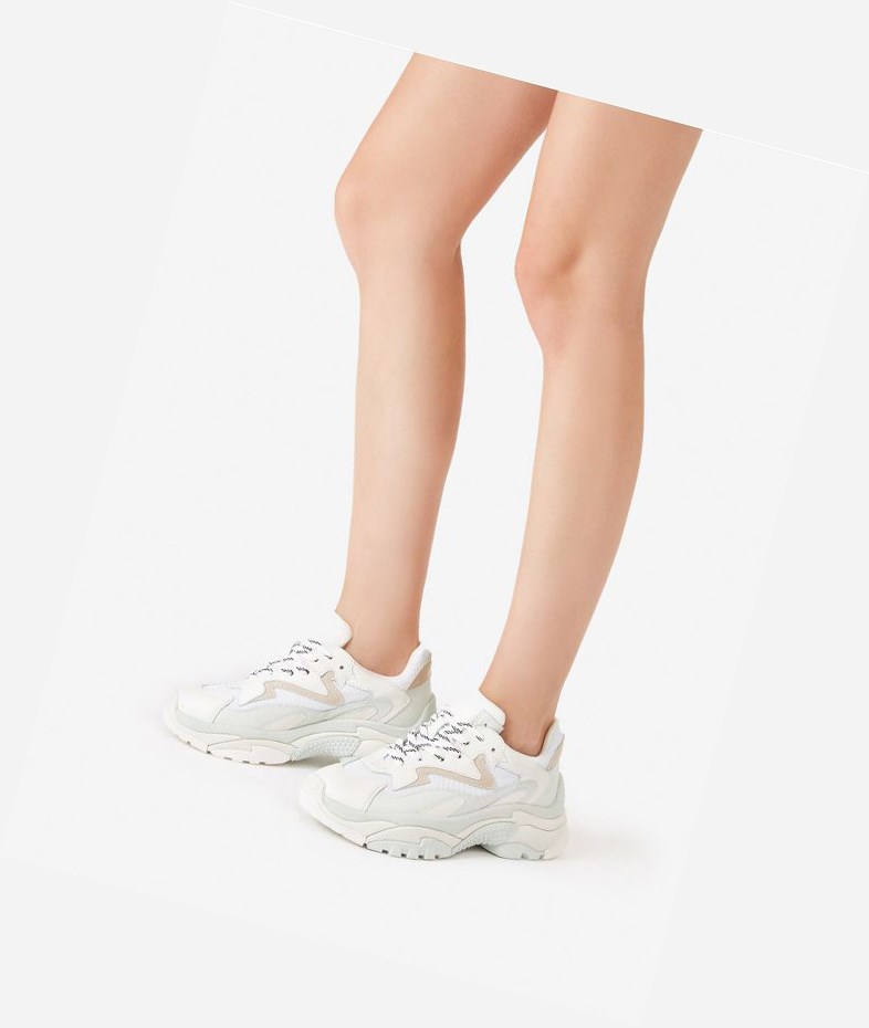 White Women's ASH Addict Low-Top Sneakers | 718KPJWDU