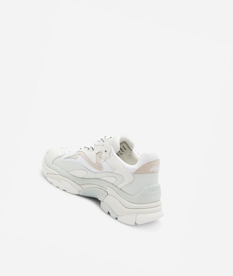 White Women's ASH Addict Low-Top Sneakers | 718KPJWDU