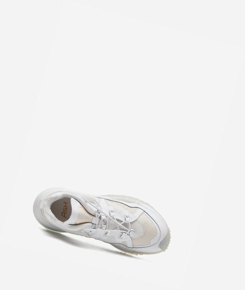 White Women's ASH Jam Low-Top Sneakers | 307KGFHJM