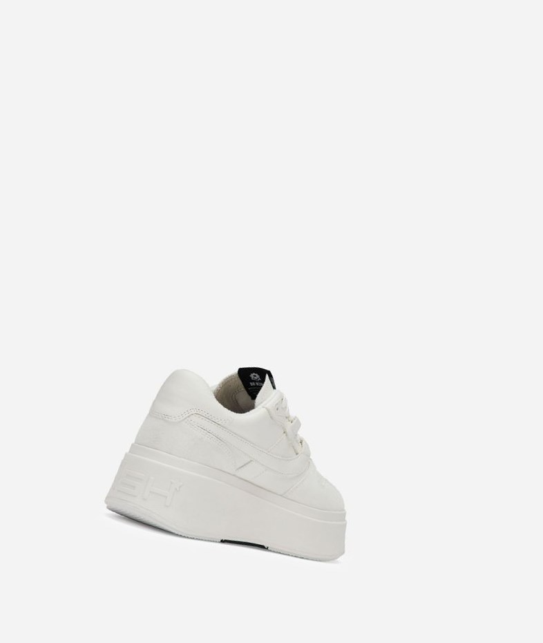 White Women's ASH Match Low-Top Sneakers | 864XLYFWO