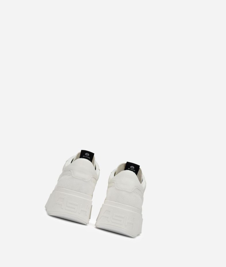 White Women's ASH Match Low-Top Sneakers | 864XLYFWO