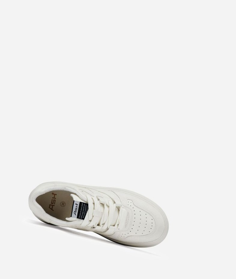 White Women's ASH Match Low-Top Sneakers | 864XLYFWO