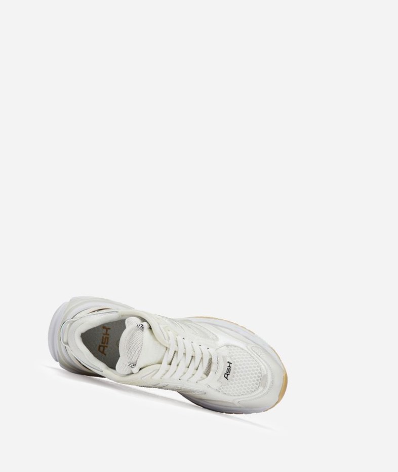 White Women's ASH Race Low-Top Sneakers | 371GFTHKA