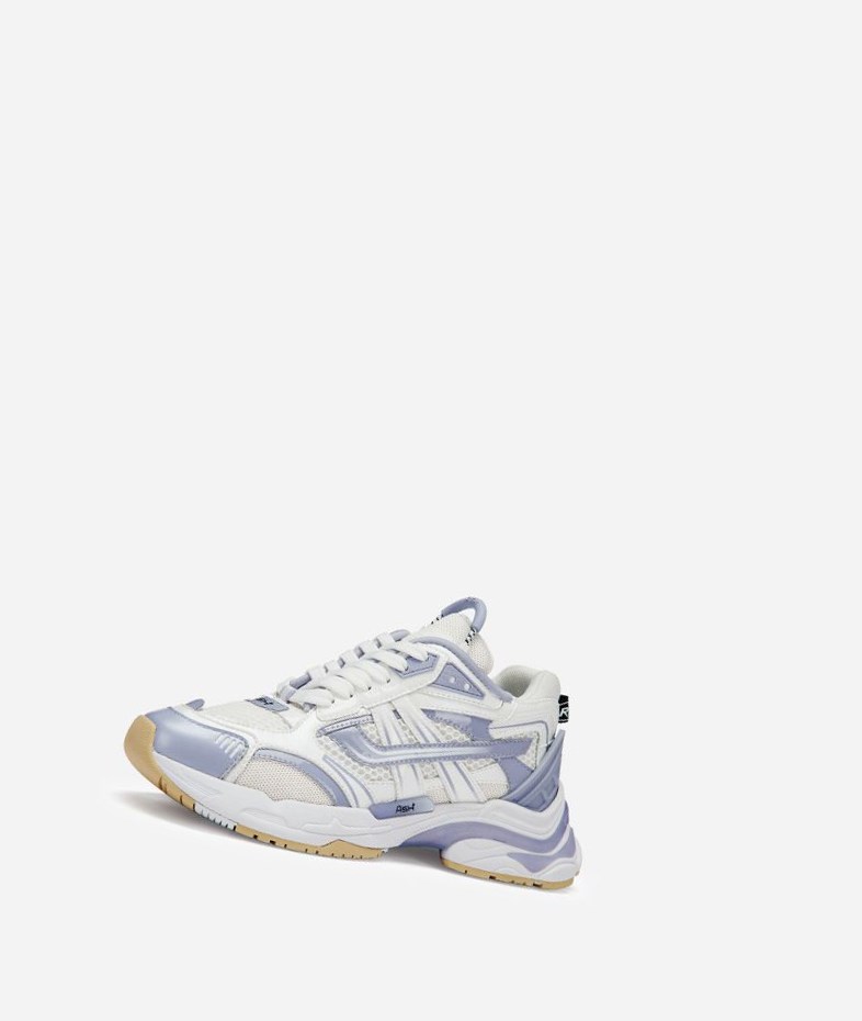 Young / White Women's ASH Race Low-Top Sneakers | 581BNWDQE