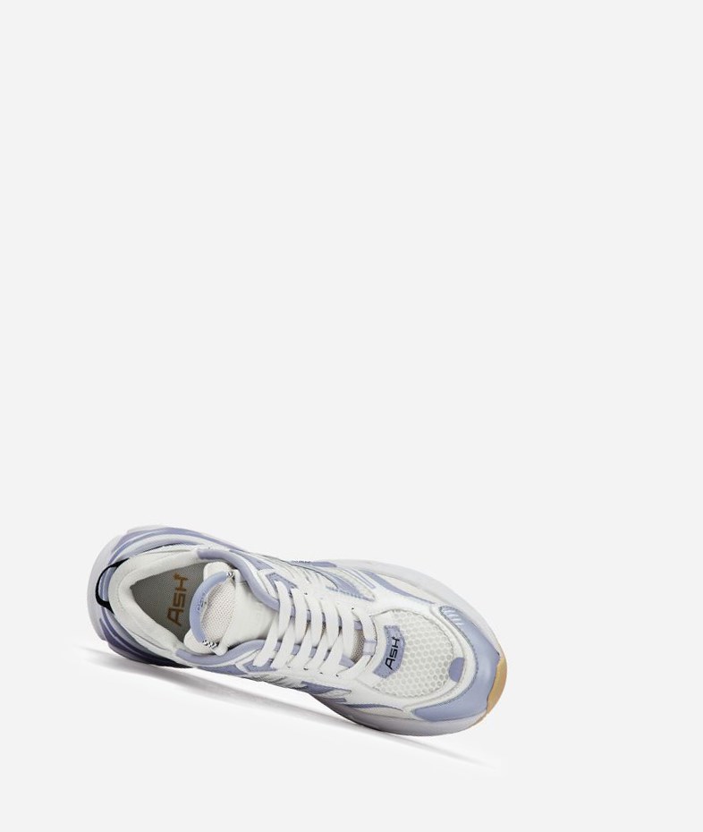 Young / White Women's ASH Race Low-Top Sneakers | 581BNWDQE